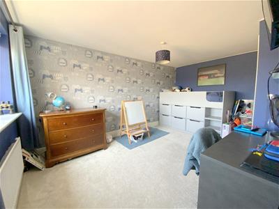 Picture 23